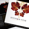 Divinum Vitae-4