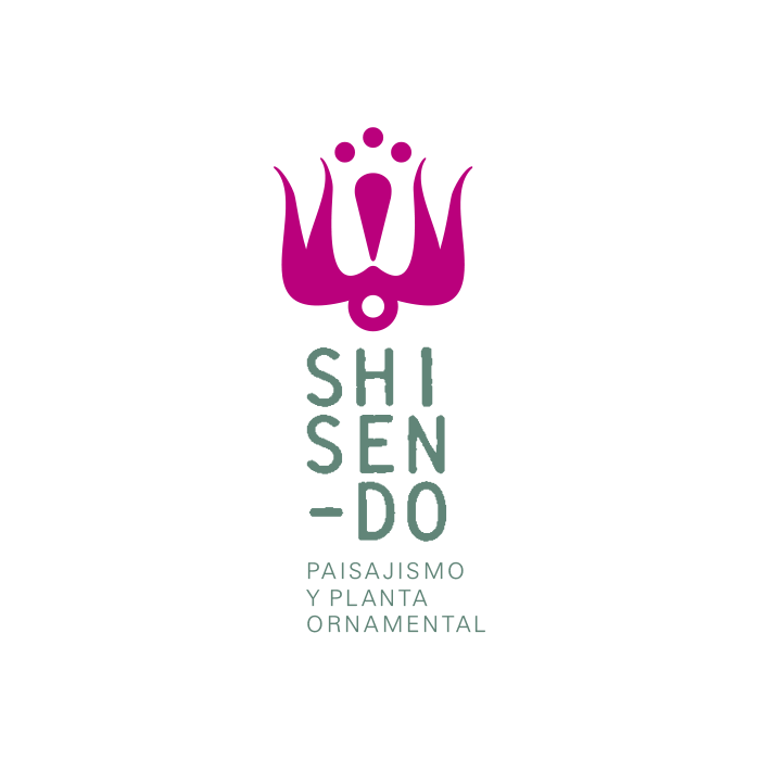 SHISENDO-02